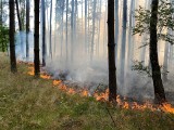 Pożar lasu w okolicach miejscowości Stawno. W akcji brały udział 2 śmigłowce gaśnicze [ZDJĘCIA]
