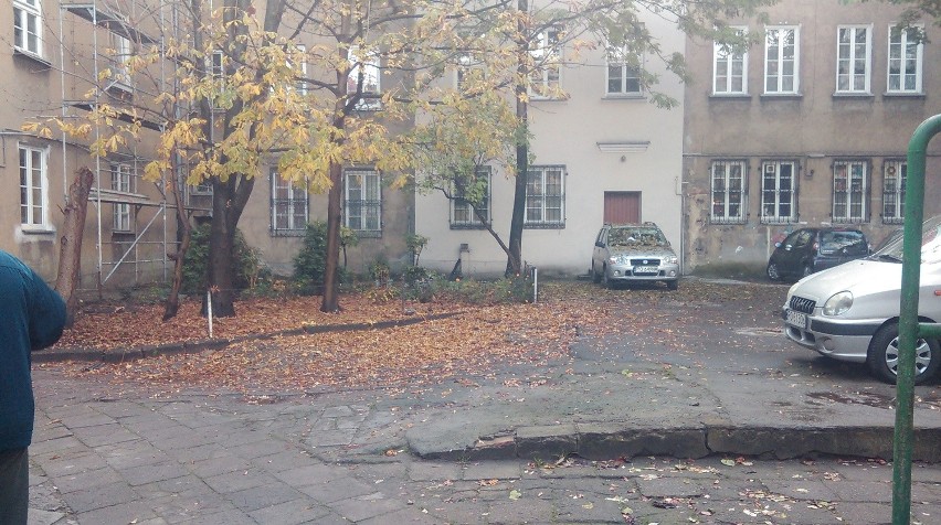 Poznań: Zniszczone podwórza przynoszą wstyd miastu