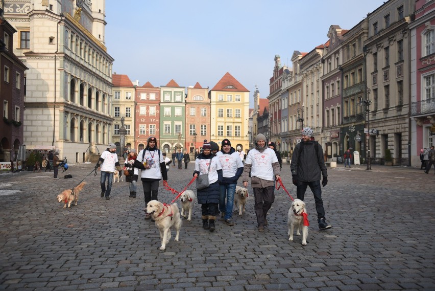 WOŚP 2017 w Poznaniu już dzisiaj. Z Jurkiem Owsiakiem gramy...