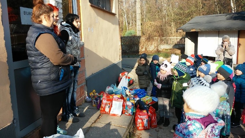 Dzieci z kieleckiego przedszkola przekazały do schroniska ponad 80 kilogramów karmy