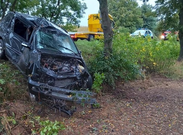 W sobotę, 1 października pomiędzy miejscowością Dzięcielin, a K-24, 18-letni mieszkaniec powiatu międzychodzkiego uderzył samochodem w drzewo. Młody kierowca nie dostosował prędkości do warunków panujących na drodze - mokrej nawierzchni, przez co zjechał z drogi i uderzył w drzewo.Kolejne zdjęcie --->