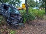 Groźny wypadek pod Dzięcielinem. 18-letni kierowca uderzył w drzewo. Jest ranny [ZDJĘCIA]