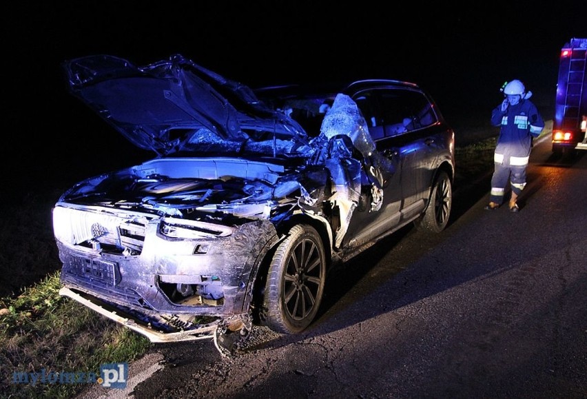 Górki-Sypniewo. Wypadek z łosiem. Jedna osoba trafiła do...