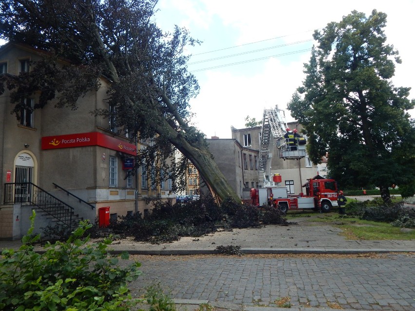 Nawałnica w Gubinie powaliła drzewo, które spadło na budynek...