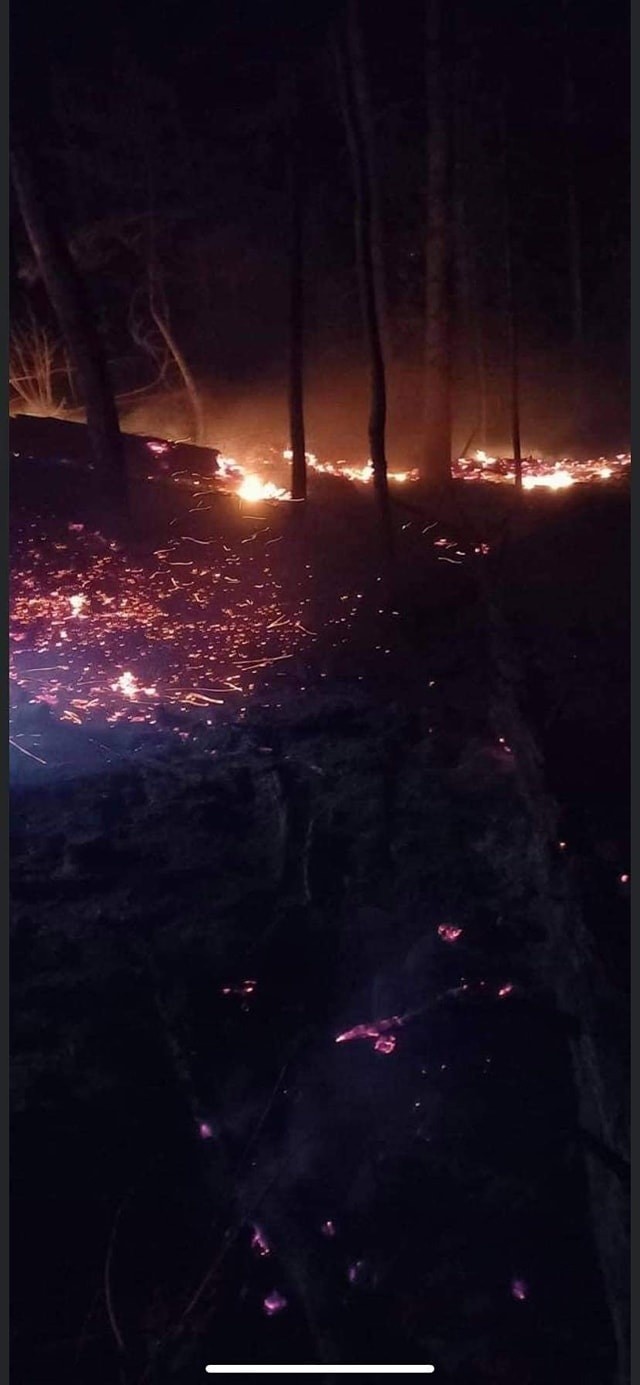 Akcja gaszenia pożary lasu przy ul. Górnej w Myślenicach