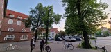 Szkoła w Poznaniu chce wyciąć ogromne drzewa. Powstaną tam parkingi?