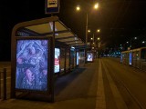 Drastystyczne plakaty z ofiarami z Syrii na przystankach w Szczecinie