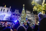 Gdzie kupić choinkę w Gdańsku na święta Bożego Narodzenia 2022? Sprawdź. Oto najnowsza LISTA MIEJSC