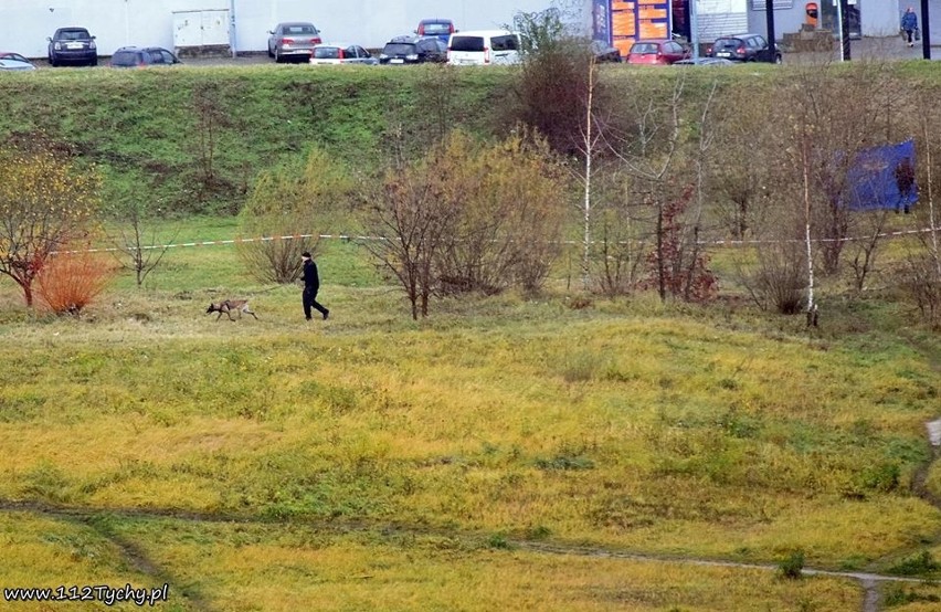 Zwłoki z raną głowy w Tychach na Alei Jana Pawła II