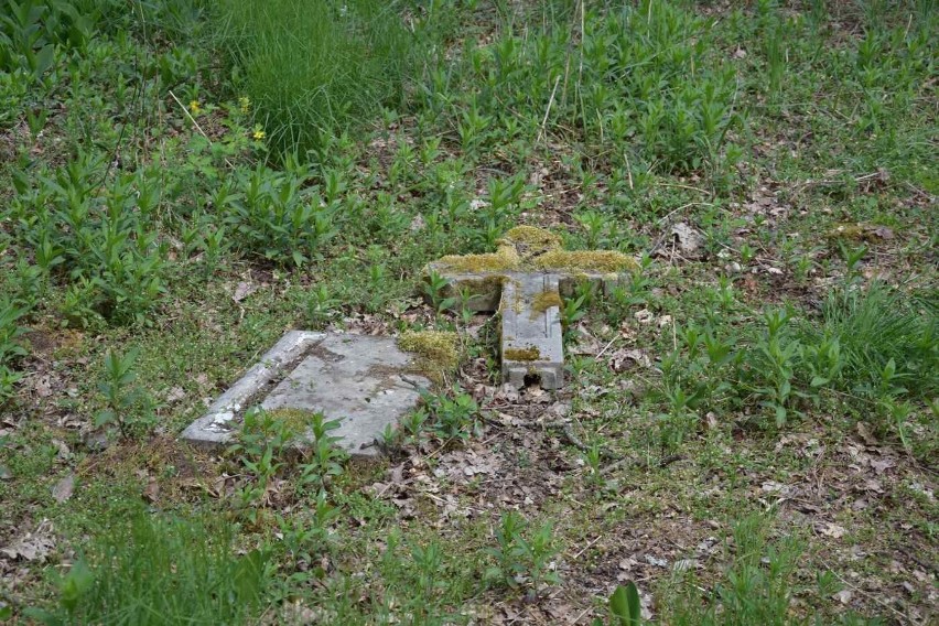 Cmentarz koło Czernej znajduje się na skraju lasu i niewiele...