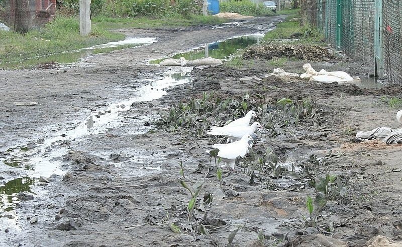 Włocławskie Zawiśle po pierwszej fali. Ale przed drugą.