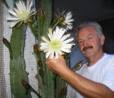 W Niwnicy zakwitły rzadkie kaktusy. Mają po 40 lat i nawet 3 metry wysokości