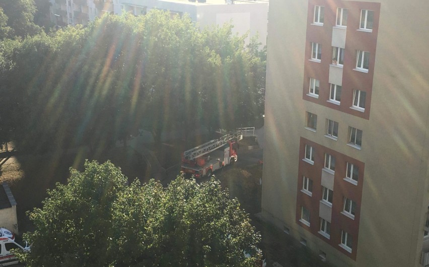 Zielonogórscy strażacy przez balkon wchodzili do jednego z...