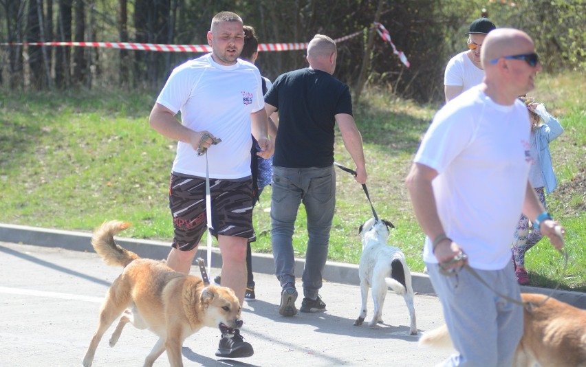 Radom. Psy ze Schroniska dla Bezdomnych Zwierząt uczestniczyły w Biegu na 6 łap