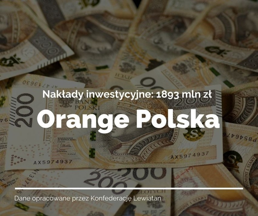 Największe firmy prywatne w Polsce...