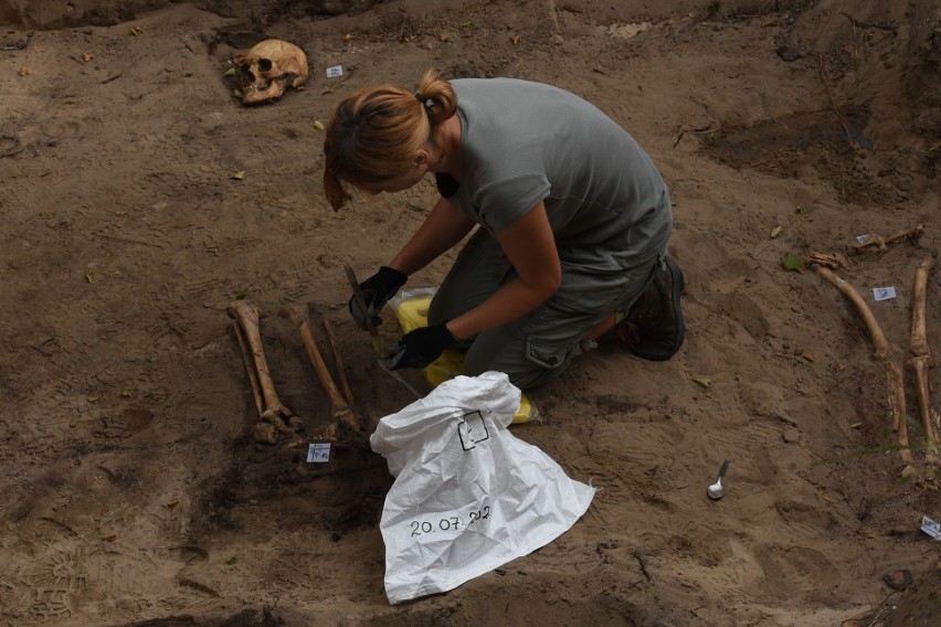 Podczas prac budowlanych na terenie dawnego cmentarza ewangelickiego w Nowym Porcie znaleziono szkielety. Zdjęcia 
