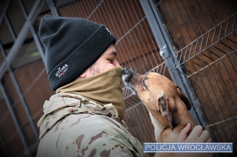 PIES DLA PSA. Tak pomagają wrocławscy policjanci