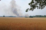 Duży pożar przy zjeździe z obwodnicy w Redzikowie. Pali się pole i las [ZDJĘCIA]
