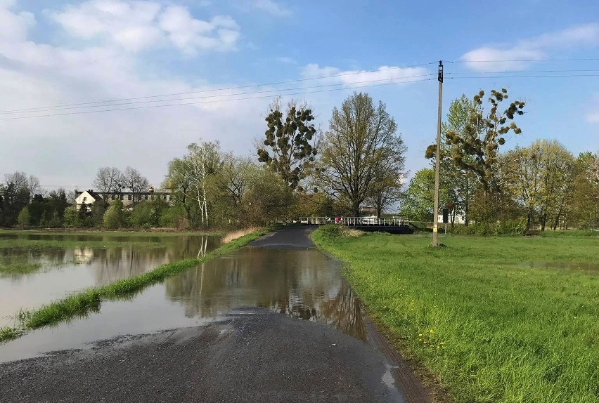 W Krapkowicach ogłoszono alarm powodziowy