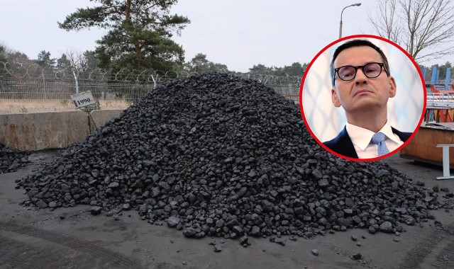 Szef rządu zauważył, że dziś cena węgla na świecie wraz z transportem i przesianiem go to 2,5 - 3 tys. zł za tonę