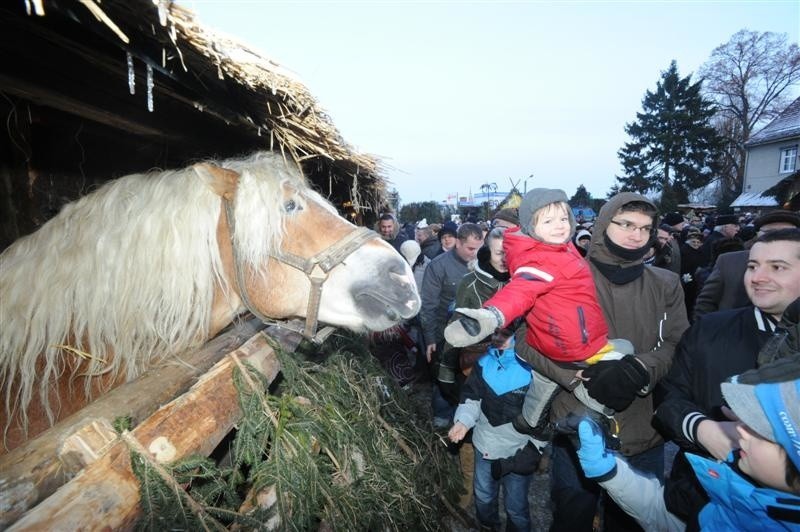 Opolanie koledowali w Szczepanowicach