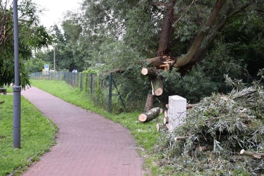 Pruszcz Gdański: Trwa usuwanie szkód po burzy