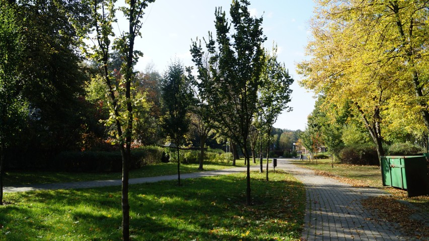 Piękna jesień w Mikołowie i zmiany w parku Planty
