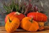 Dyni nie może zabraknąć w naszym jesiennym menu. Zobacz przepisy na smaczne i zdrowe dania z dyni