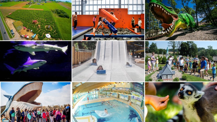 Rząd wprowadza nowe wytyczne dla parków rozrywki, basenów i...