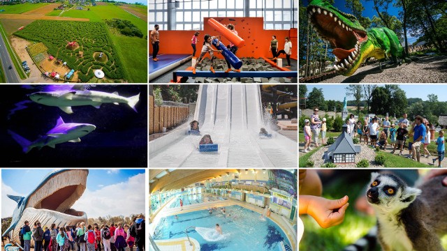 Rząd wprowadza nowe wytyczne dla parków rozrywki, basenów i sal zabaw już od 6 czerwca. Co można robić?