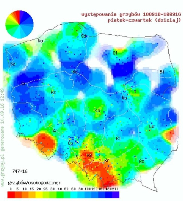 Tak wygląda ogólnopolska mapa grzybów tworzona przez internautów. Najciemniejsze niebieskie plamy to miejsca, gdzie jest najwięcej okazów.