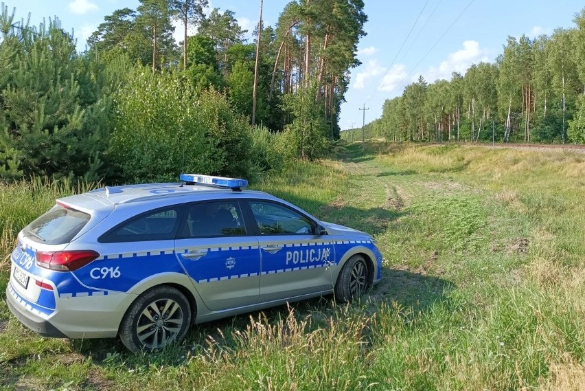 Policjanci z powiatu świeckiego ścigali najpierw radiowozem,...