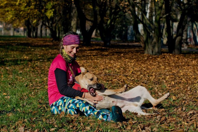 Kostek ma ok. 2 lat. Podczas pobytu w schronisku schudł tak, że widać było każą jego kość. Powodem był stres.