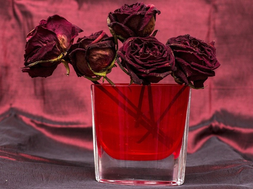 Róże to idealne kandydatki na suszone kwiaty w wazonach.