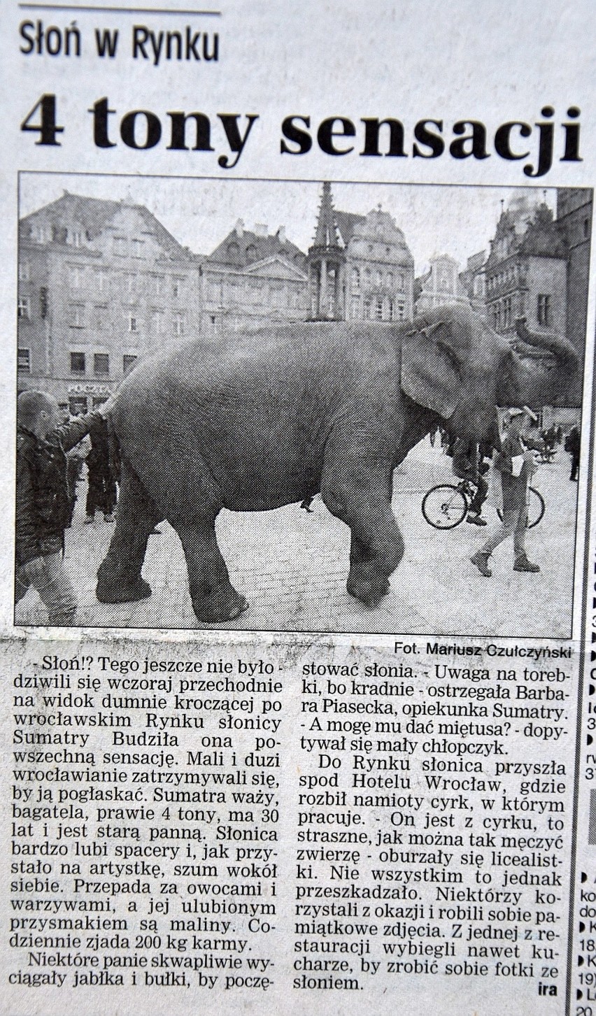 Niemałe zdziwienie zapanowało we wrocławskim Rynku, gdy...