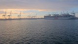 W Baltic Hub w gdańskim porcie rozładowywany jest megakontenerowiec OOCL Gdynia