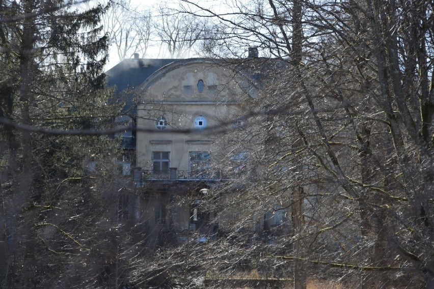 Za 1,8 mln zł można kupić zabytkowy pałac w Trzcinnie (gm....