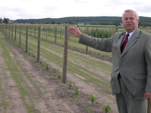 Burmistrz Przewdzing osobiście dogląda upraw włoskich plantatorów. - Martwi mnie tylko, że ktoś podkrada sadzonki winogron - mówi.