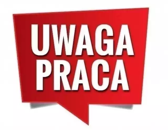 Prezentujemy najnowsze oferty pracy, dostępne w Powiatowym Urzędzie Pracy we Włoszczowie.ZOBACZ NA KOLEJNYCH SLAJDACH >>>>>>>>>>