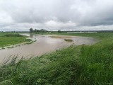 Wielka woda na Wiśle, stan alarmowy w powiecie staszowskim. W Połańcu trwa walka na wałach, kłopoty w Osieku (MNÓSTWO ZDJĘĆ)