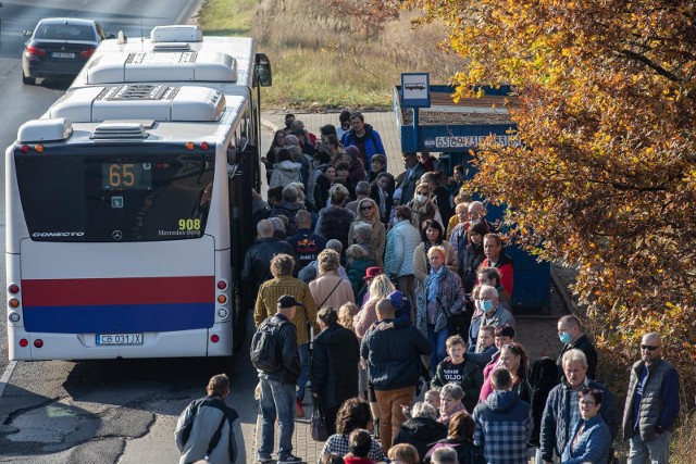 1 listopada autobusy i tramwaje będą kursować częściej niż w dzień świąteczny. ZMDiKP uruchomi dodatkowe linie, które zawiozą bydgoszczan w rejon największych cmenatarzy.