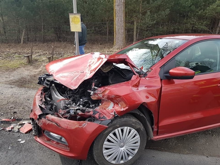 Dziś niemal w samo południe na drodze wojewódzkiej w...