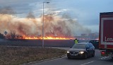 Duży pożar we Wrocławiu. Czarny dym na północy miasta (ZDJĘCIA)