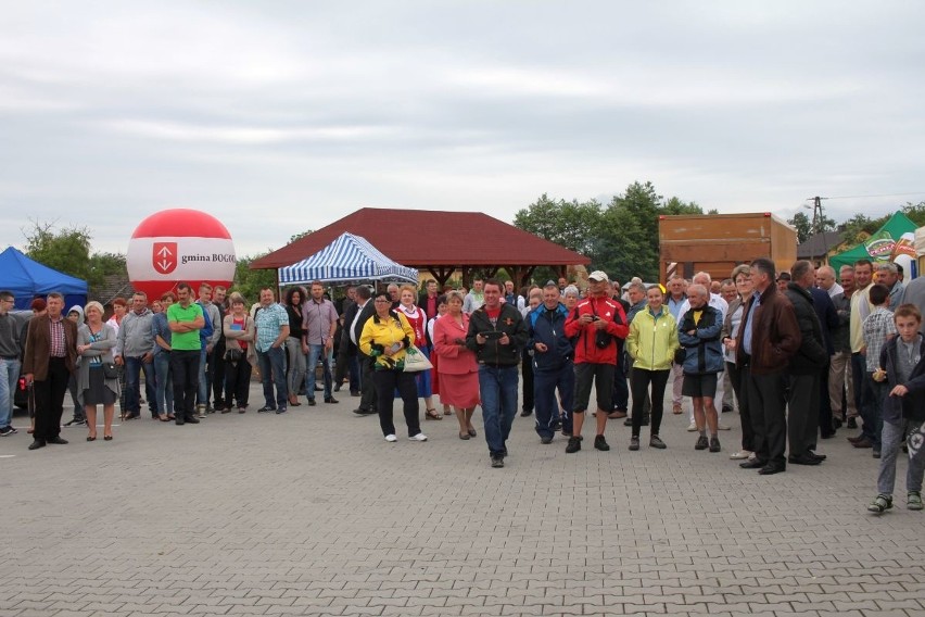 Pierogowe szaleństwo w gminie Bogoria. Zobacz kto wygrał