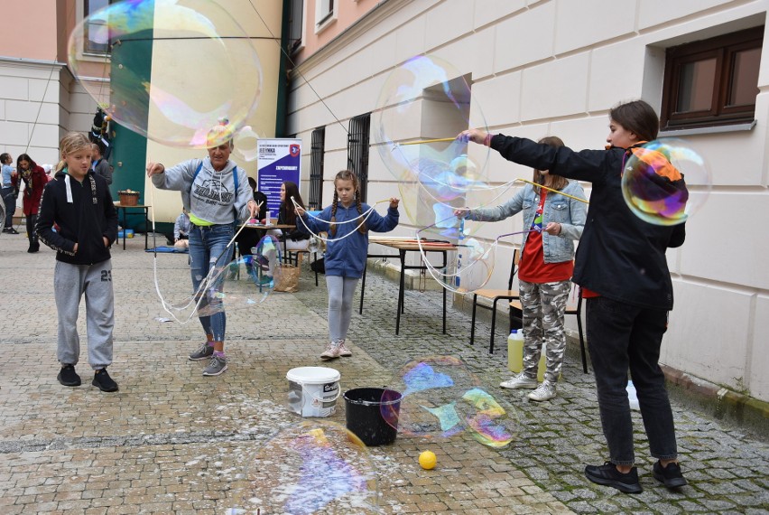 Tarnów. Piknik promujący zdrowie przy I LO w Tarnowie. Nie zabrakło także niespodzianek dla najmłodszych [ZDJĘCIA]