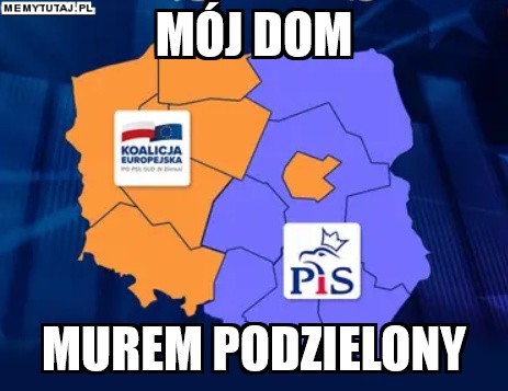 Wyniki wyborów do PE 2019: Internauci stworzyli MEMY. Zobacz...