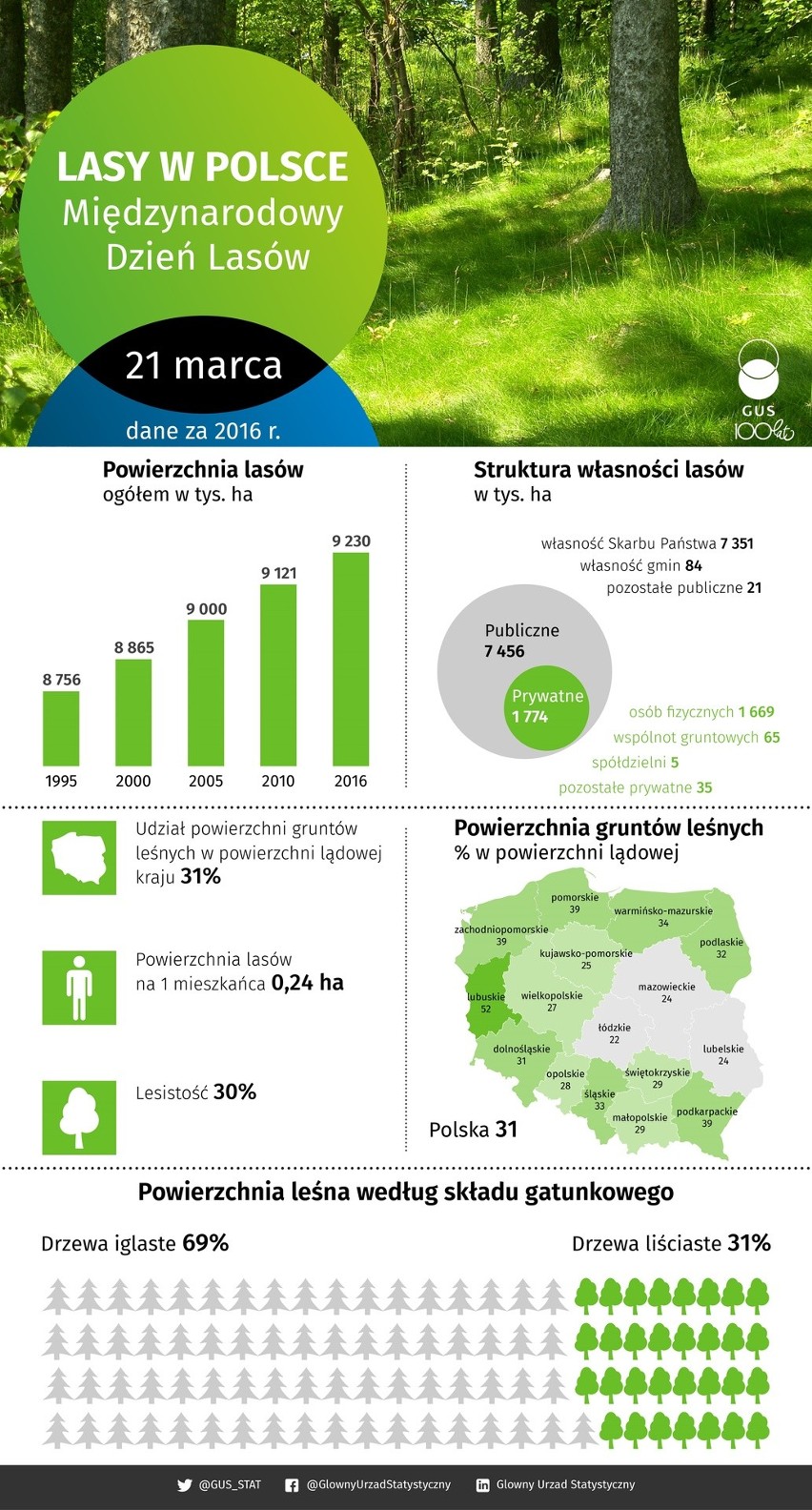 Ministerstwo środowiska zapewnia: nie ma planów prywatyzacji Lasów Państwowych