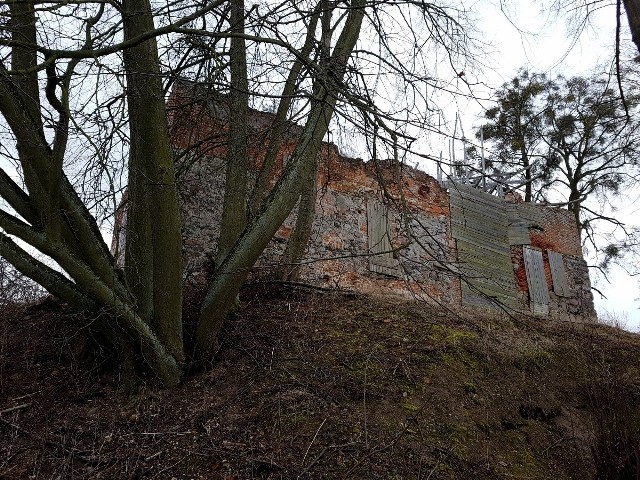 Zamek w Nowym Jasińcu, pełnił funkcję szczególną. Strzegł państwa zakonnego w południowej strefie Pomorza Gdańskiego. W razie potrzeby załoga strażnicy wzmacniana była posiłkami ze znacznie większych zamków w Świeciu i Tucholi. Ruiny krzyżackiej warowni mają dziś prywatnego właściciela. Ciężkiego zadania odbudowy zamku podjął się Artur Miernik, architekt z Warszawy, rycerz i miłośnik zamków. To dzięki jego staraniom od kilku lat w Nowym Jasińcu trwają badania archeologiczne. Po ich zakończeniu planowana jest odbudowa zamku. Plan jest bardzo ambitny ma tam powstać hotel, atrakcje do zwiedzania i stadnina koni.