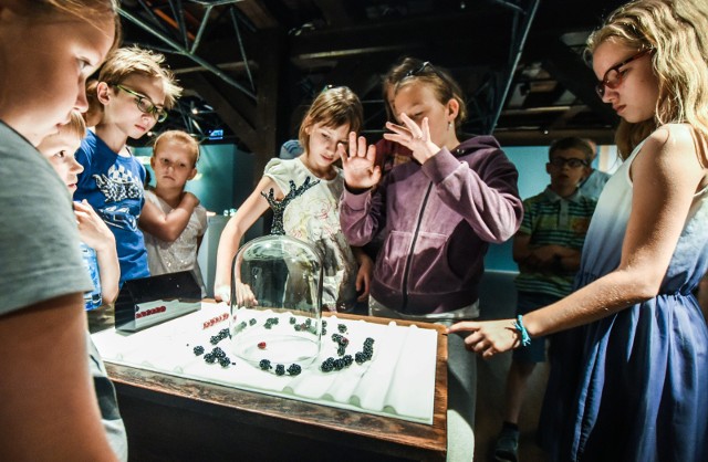 W wakacje propozycje nie tylko dla dzieci i młodzieży ma Muzeum Okręgowe w Bydgoszczy