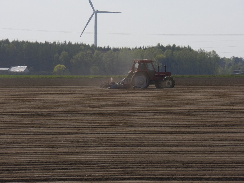 Dotacje dla rolnictwa - webinar internetowy dla rolników również z Dolnego Śląska